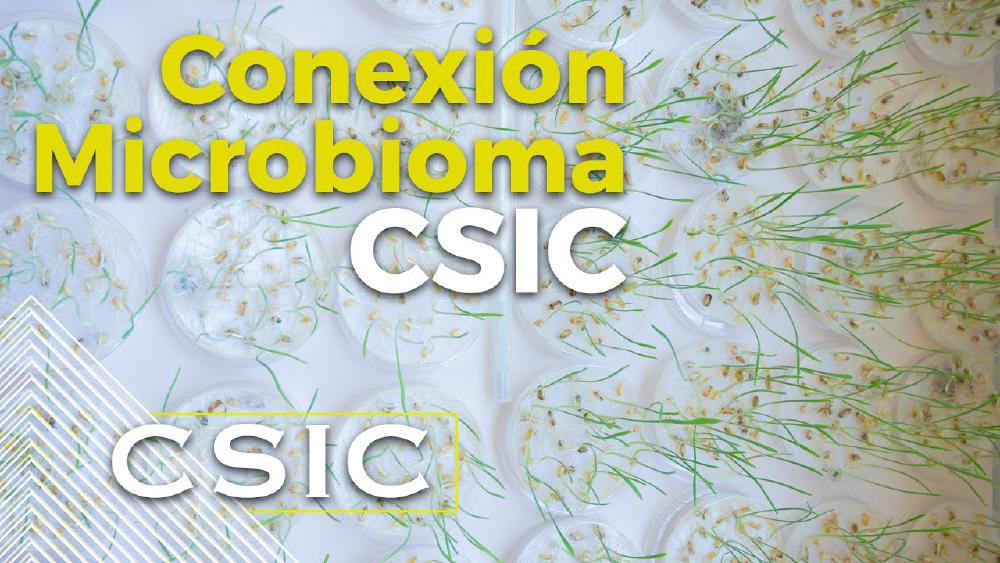 1st Assembly of the CSIC Connection on Microbiology