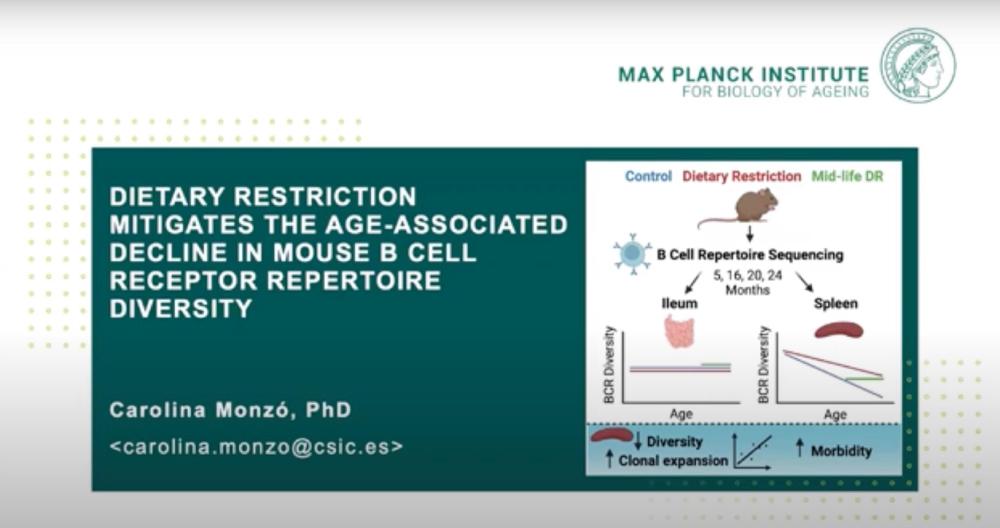 The 2024 Immcantantion Users Group Meeting